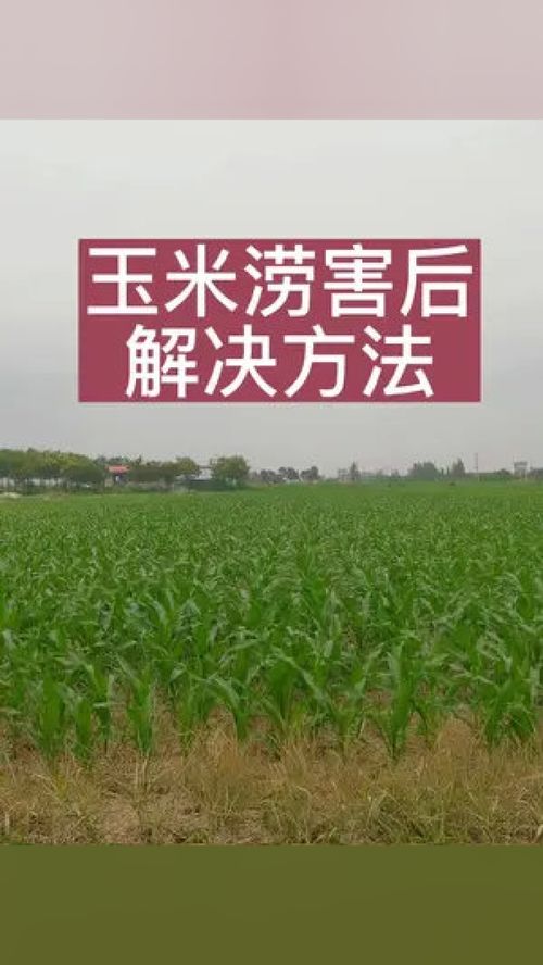 科技兴农 新时代农业技术推广的路径与价值